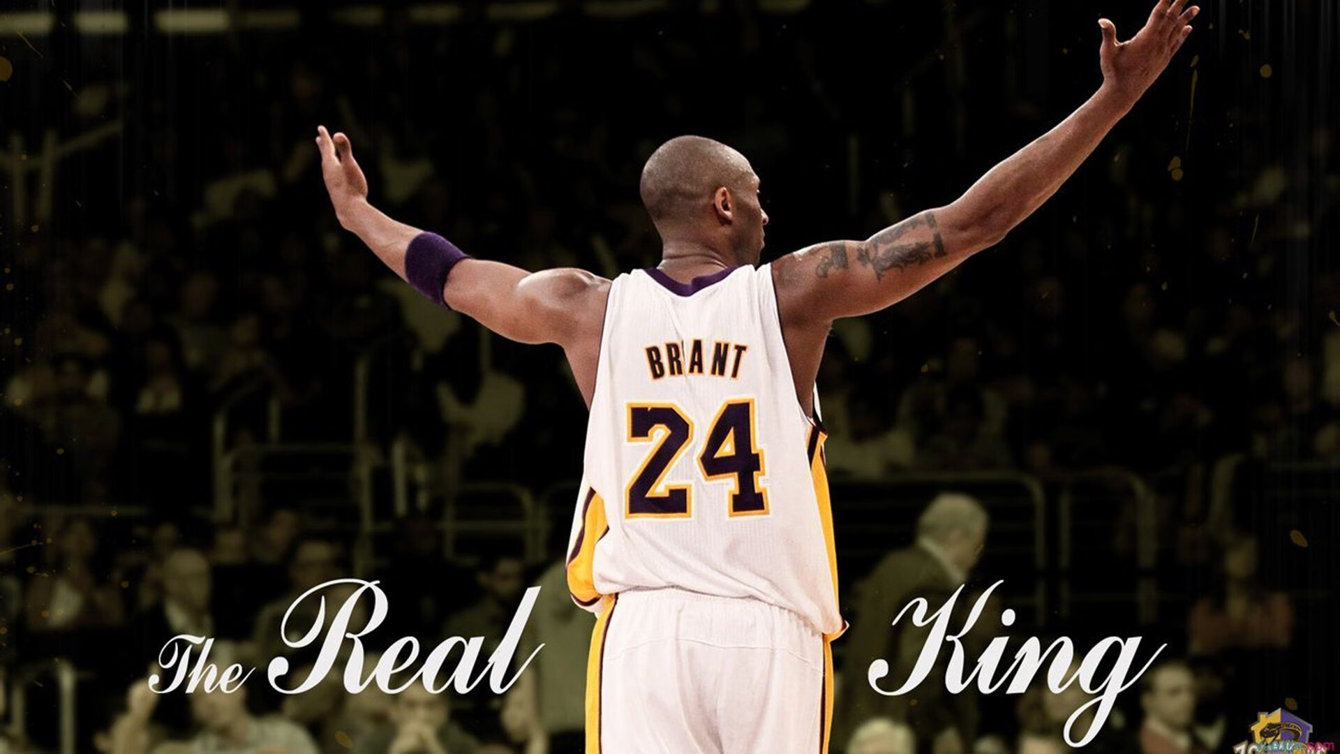 _骑士新秀表现抢眼,展现大未来_,骑士队新秀